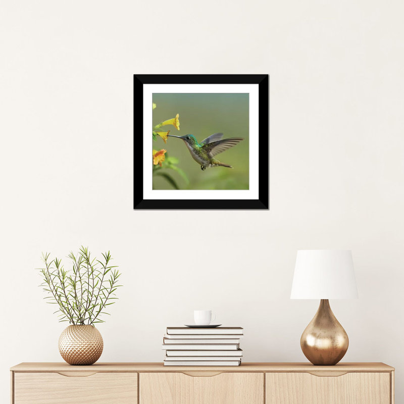 Colibri des Andes émeraude se nourrissant d'une fleur jaune, Équateur - vertical par Tim Fitzharris - reproduction d'art sur toile tendue