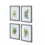 Botanical Flower - ensemble de 4 reproductions de cadres photo simples