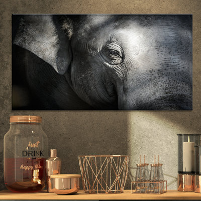 Éléphant gros plan - impression sur toile tendue
