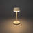Lyon Cordless Table Lamp - USB Rechargeable, RGB Dimmable LED, Elegant Design-110764324