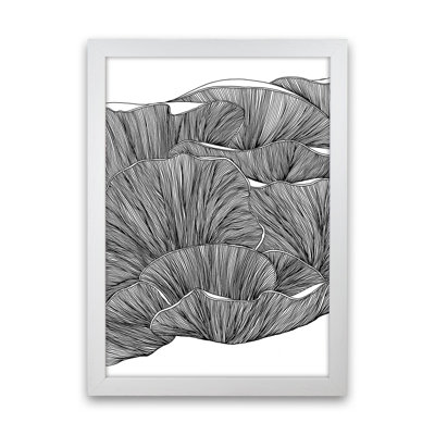 Oyster Mushrooms BW by Carissa Tanton - Print