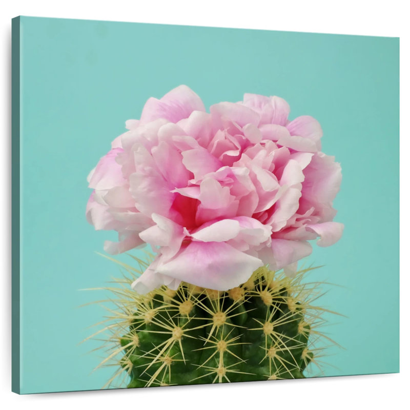 Fleur de cactus rose Harnek, H 24 po x l 24 po