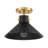 Ohemaa 1-Light Ceiling Light in Matte Black and Natural Brass-36667288