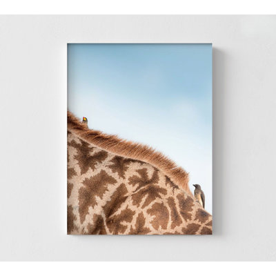 Cool, impression de girafe, affiche de photographie, inspiration de chambre d'enfant, idée de décor de bureau de zoo