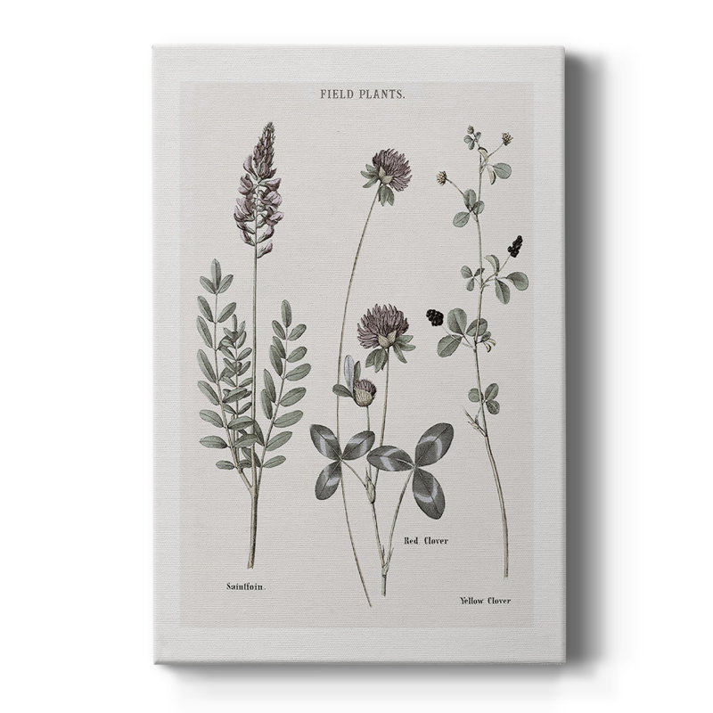 Multi Botanical II - Cavas enveloppés de galerie, H 18 po x l 12 po