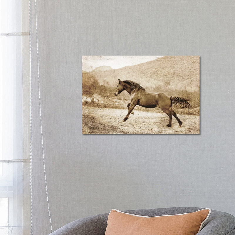 A Run Up The Hill by Rhonda Thompson - Wrapped Canvas Print, 101.6 cm H x 66.04 cm W x 3.175 cm D