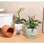 Pot de fleurs pour orchidées « Goutte de pluie » - Petit pot en céramique émaillée pastel (lot de 6) - Sula Outdoor