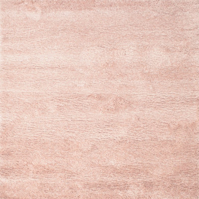 Indoor Rug