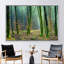 Print on Canvas-1125311181-1125311178