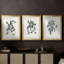«Growing Leaves IV», impression encadrée sur mesure de qualité supérieure - 3 pièces-806555153-806555158