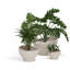 Luna Planter-921280413-921280416