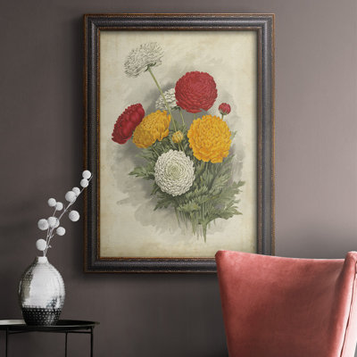 " Ranunculus Florilegium I "