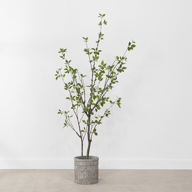 60'' Faux Ficus Tree in Cement Pot