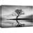 " Solitude Reflection Lone Tree Monochrome "-99543687