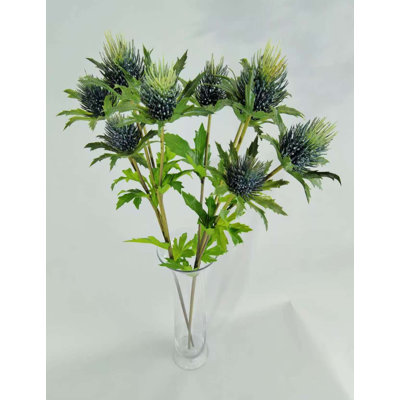 ERYNGO X5 28 po
