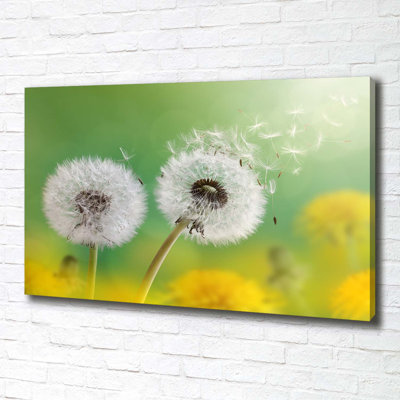 Dandelions - No Frame Print on Canvas