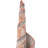 Alkire Oriental Area Rug-1740213795-1675488924