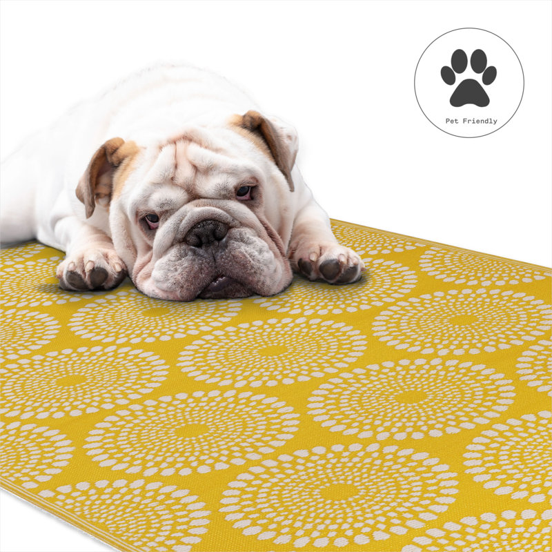 Outdoor Rug Plastic Straw Rug Waterproof Patio Oliviera, Rectangle 3' x 5', Rio - Yellow