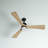 Fellman 52'' Ceiling Fan with LED Lights