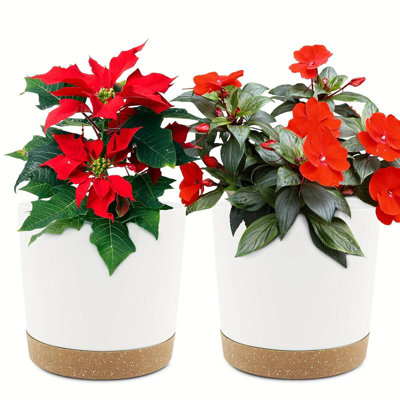 2-Pack 6.5in Self-Watering Removable-Bottom Round Plastic Planters Indoor Outdoor