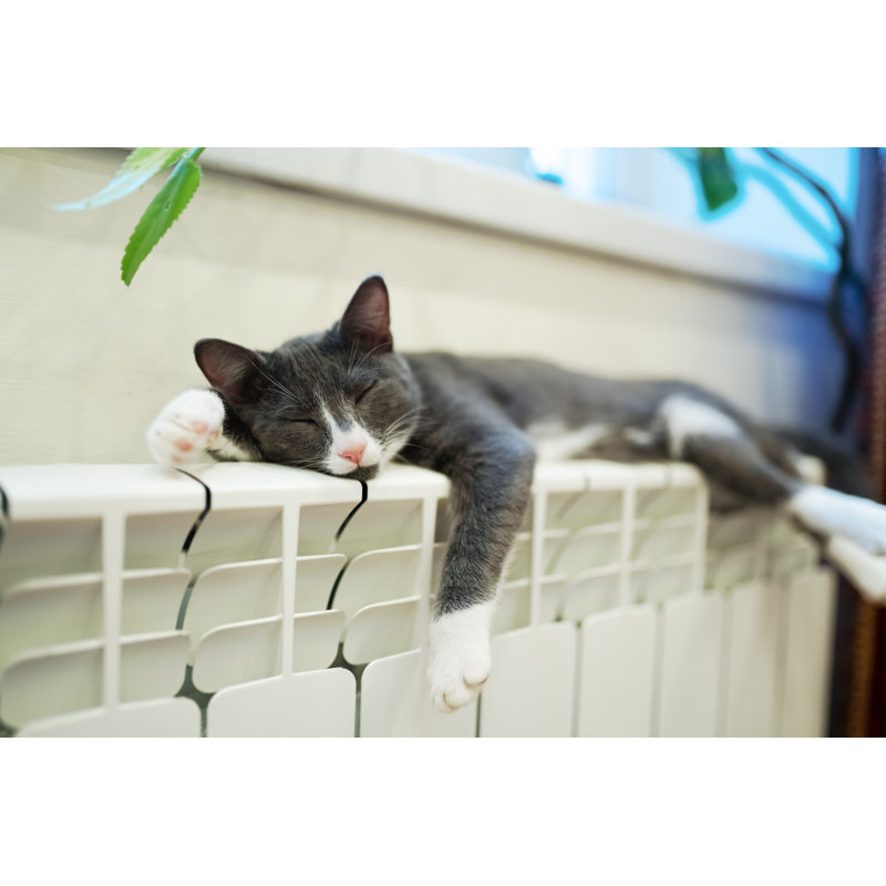 " Sleeping Cat On The Heating Radiator " by Avtk, 8" H x 12" W x 1.25" D
