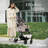 Evolution Speedy Fold Pet Buggy