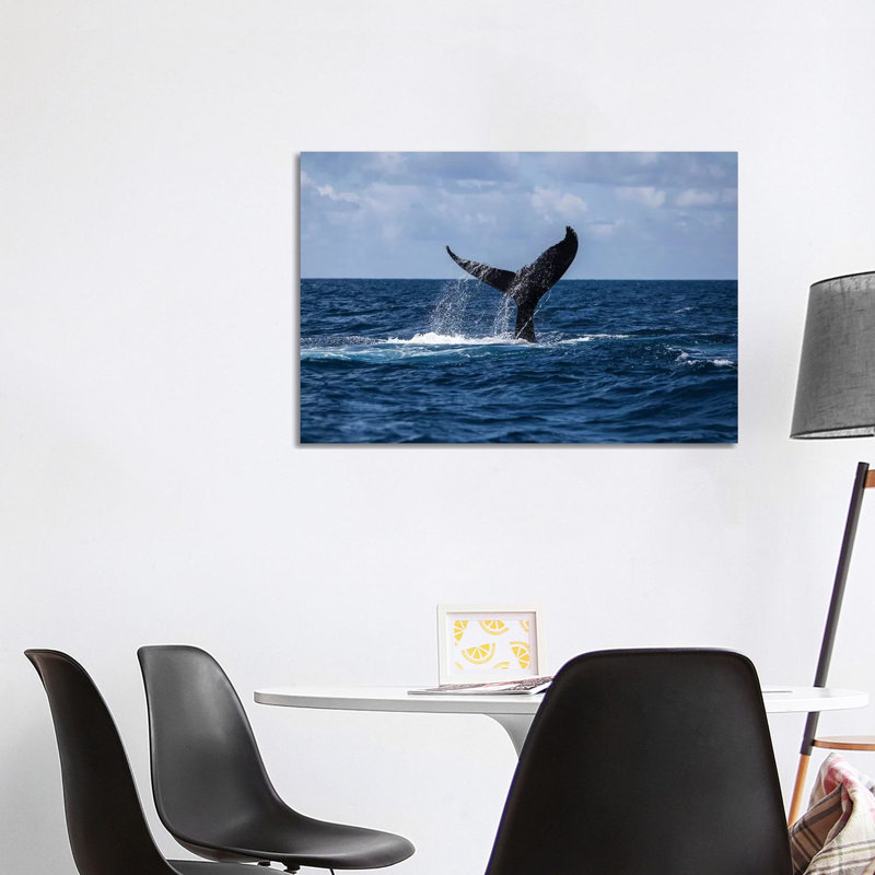 A Humpback Whale Slaps Its Tail On The Surface Of The Atlantic Ocean by Ethan Daniels - Wrapped Canvas Gallery-Wrapped Canvas Giclée