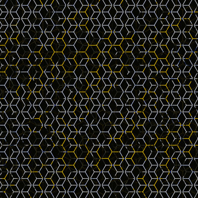 Ruche noire et jaune