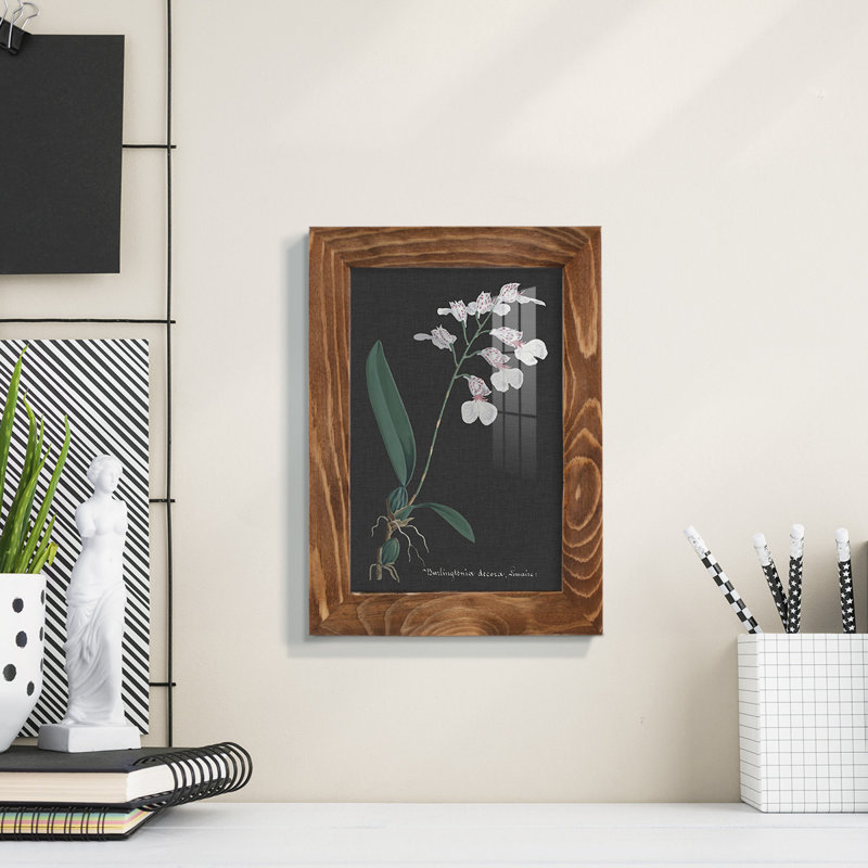 Orchidée sur ardoise VI - impression d'un seul cadre photo, H 6 po x l 4 po x P 1 po, Noyer