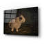  «Resting Bunny Rabbit 1» par Marian Parsons, art mural en verre acrylique, 24 po x 16 po-1975923596