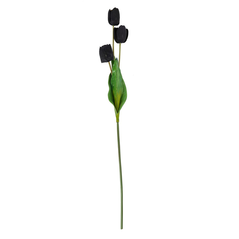 Arrangement