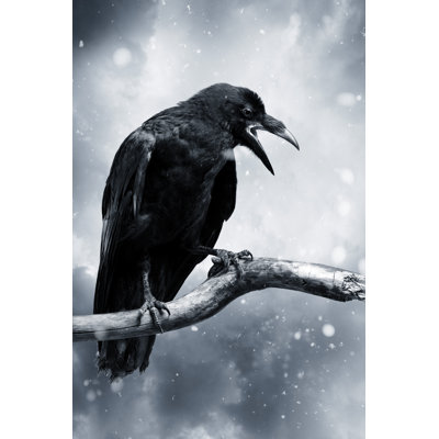 Raven par D-Keine