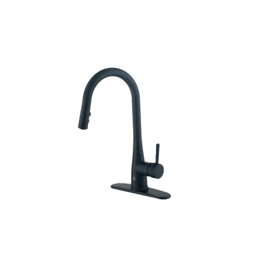 RunFine Group Pull Down Touchless Kitchen Faucet