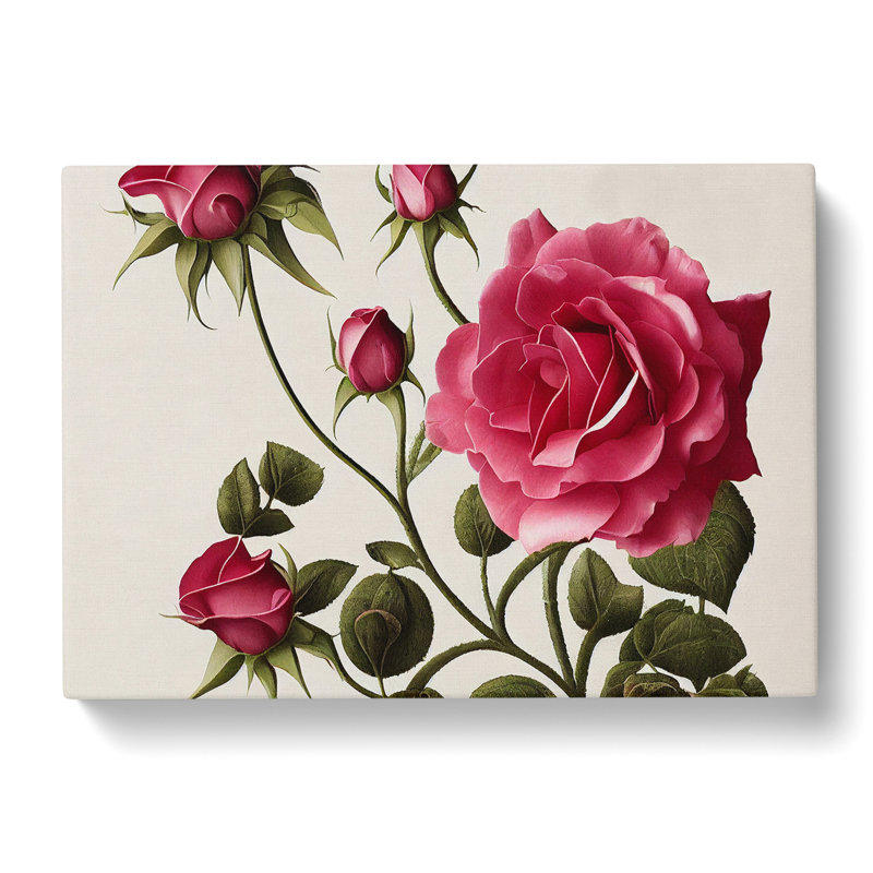 Bold Rose Flowers - Wrapped Canvas, 40cm H x 60cm W x 3cm D