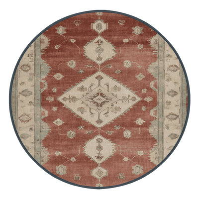 Machine Washable Overdyed Brown Area Rug