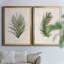 Palm Botanical I - ensemble de 2 impressions-1211584037-1280204971-1280204973