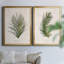 Palm Botanical I - ensemble de 2 impressions-1280204969-1280204971-1211584037