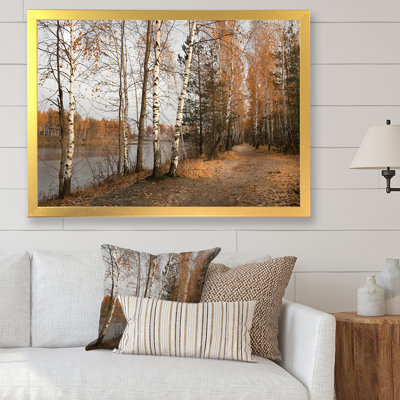 " Autumn Birch Forest By The Lake "