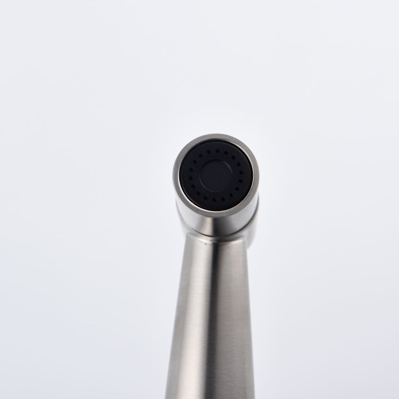 Robinet de bidet à main à un trou horizontal, Nickel brossé