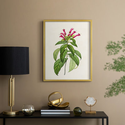 Pretty Pink Botanicals VIII Framed Print - Solid Wood