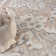Pritts Washable Oriental Indoor Rug