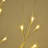 Lighted Trees & Branches