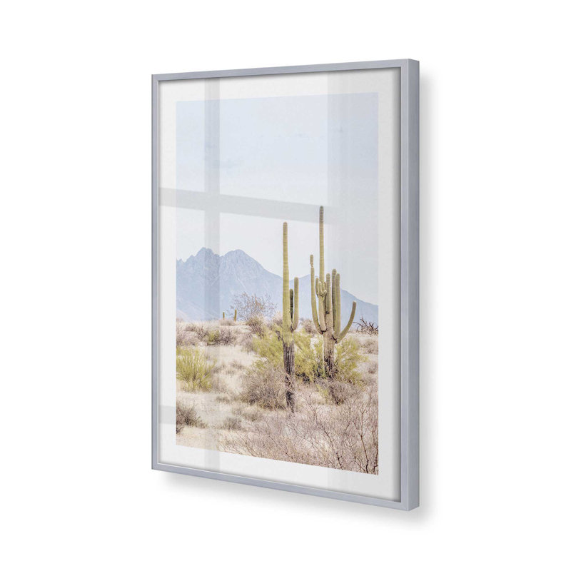 Mountain Cactus Scene, impression roulée, Cadre en chrome poli, H 37,25 po x l 25,25 po x P 1,25 po