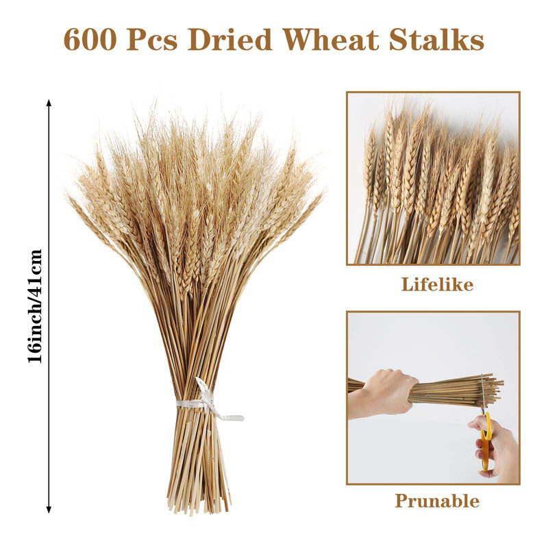 Natural Beige Dried Wheat Stalks for DIY Crafts and Decor