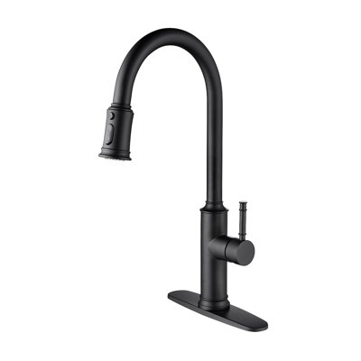 Kitchen Faucet With Pull Out Spraye