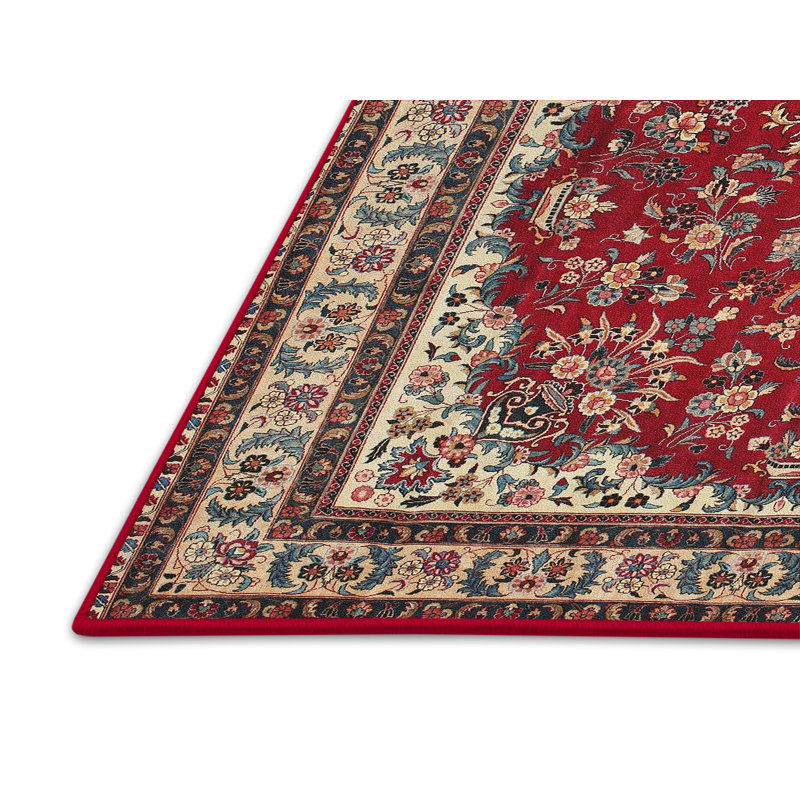Ashly Wool Oriental Indoor Rug, Rectangle 6' x 9'