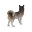 Statue pour chien sibérie husky