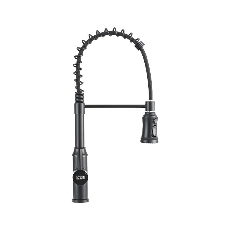 Belfry Kitchen Pull Out Kitchen Faucet, Black