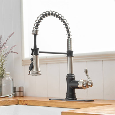 Robinet d'évier de cuisine commercial à poignée simple avec accessoires