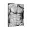 Torse mâle en gris - impression-71079070-71079061